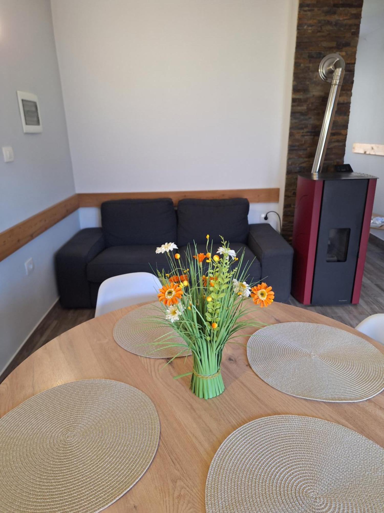 Apartma Maks & Anita Bovec Luaran gambar
